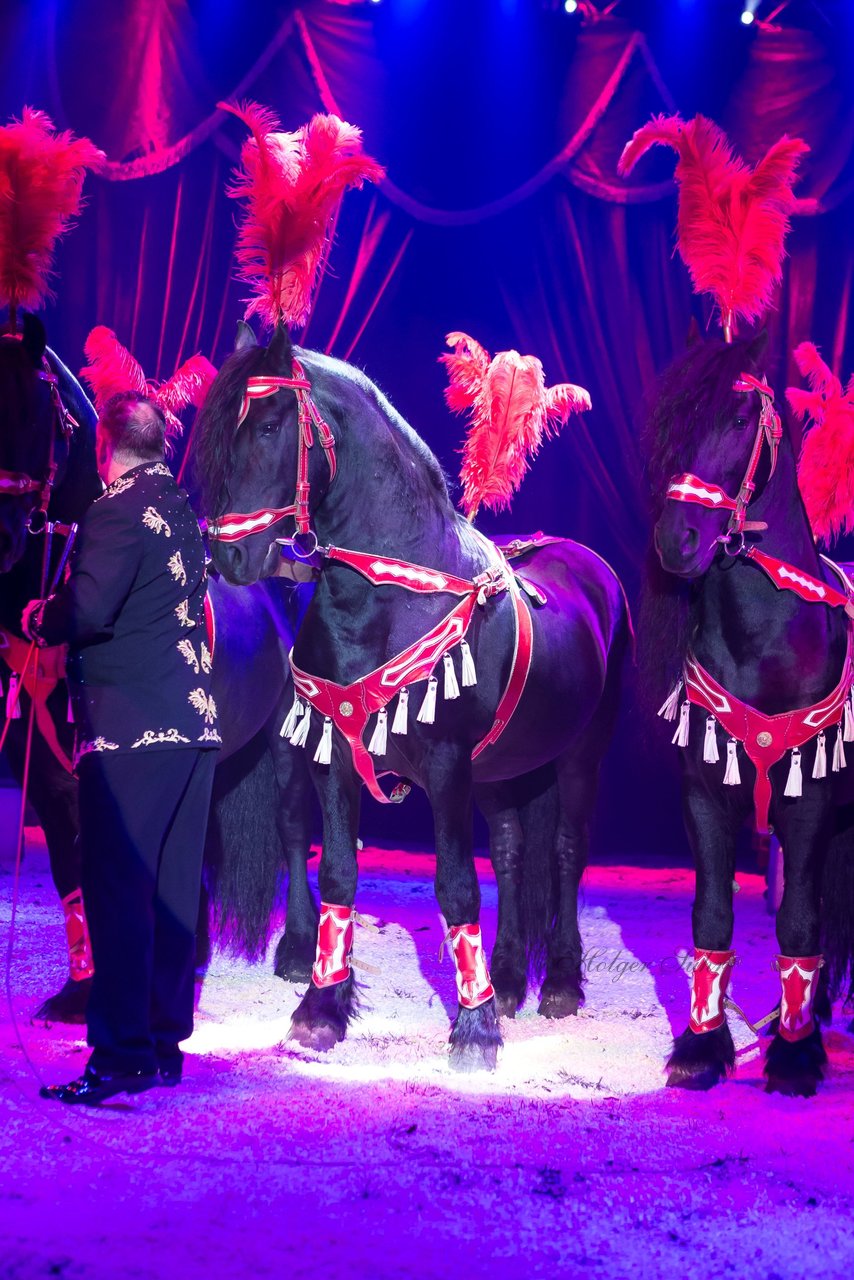 Bild 75 - Circus Europa